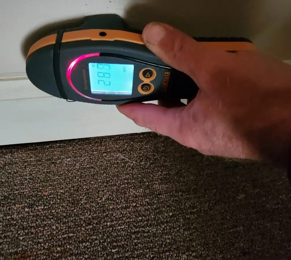 Moisture detection at baseboard during Burst Pipe Cleanup in Hempstead
